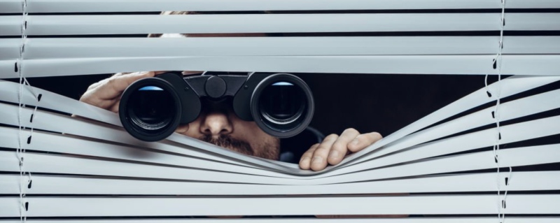 Read more about the article Spynger Price